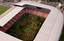 Watch: Art installation transforms Austrian football stadium into forest