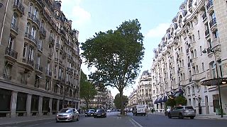 Immeubles hausmanniens à Paris - archives