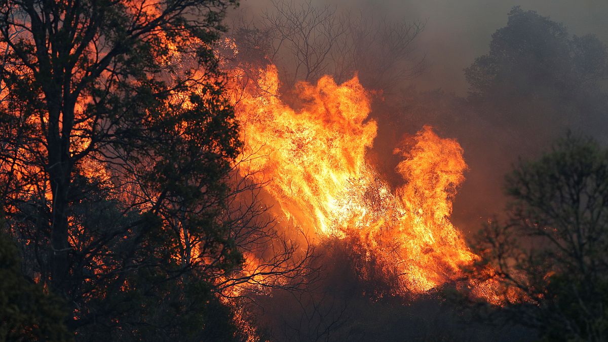 Australia's east coast battles more than 100 wildfires