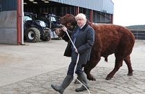 La oposición sopesa llevar a Johnson ante la justicia si no retrasa el Brexit