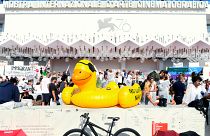 Cerca de 300 activistas han invadido la alfombra roja de la Mostra de Venecia