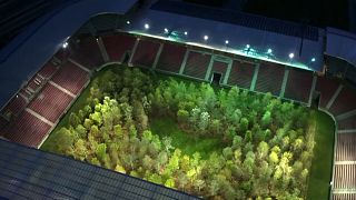 Bäume statt Fußball: Künstler pflanzt Wald in österreichischem Stadion