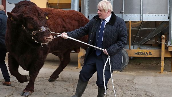 Boris Johnson elabora un plan para sortear al Parlamento británico Boris Johnson elabora un plan para sortear al Parlamento británico