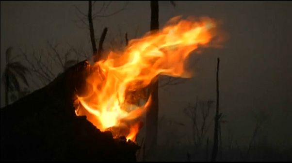 Incendios y crecimiento económico en Bolivia Incendios y crecimiento económico en Bolivia