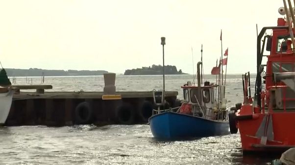 Warum gibt es kaum noch Fische in der Ostsee? Warum gibt es kaum noch Fische in der Ostsee?