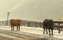 Leesett az első hó Ausztriában
