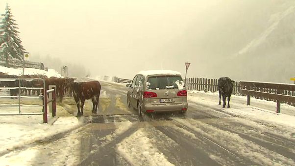 1. Schneefall in den Tiroler Alpen 1. Schneefall in den Tiroler Alpen