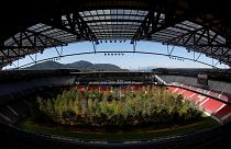 Természet – múzeumi környezetben