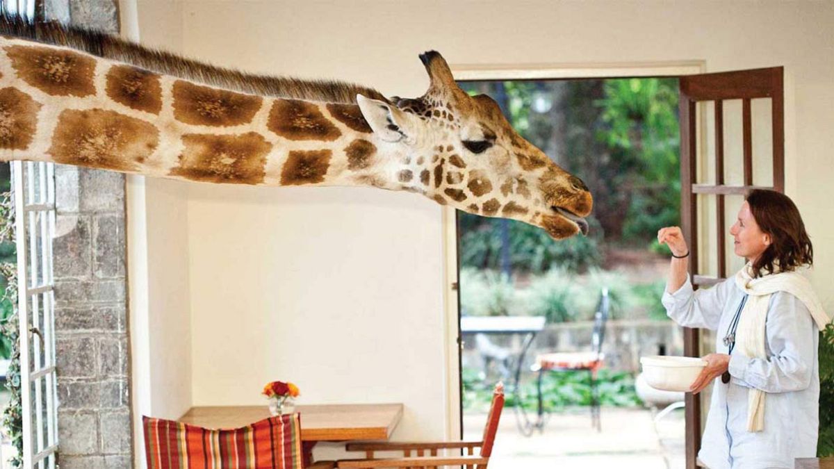 Breakfast time at Giraffe Manor, Kenya 