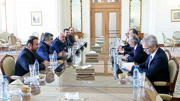 دیدار سرپرست موقت آژانس بینالمللی اتمی با وزیر خارجه ایران دیدار سرپرست موقت آژانس بینالمللی اتمی با وزیر خارجه ایران