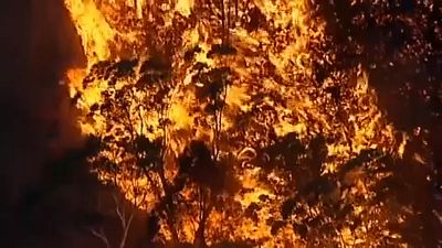 Bozóttüzek pusztítanak Ausztrália keleti államaiban
