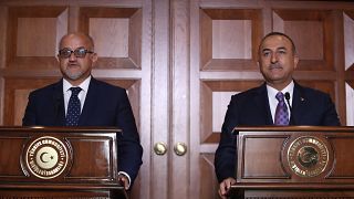 Dışişleri Bakanı Mevlüt Çavuşoğlu ile Karadağ Dışişleri Bakanı Srdjan Darmanovic ( Cem Özdel - Anadolu Ajansı )