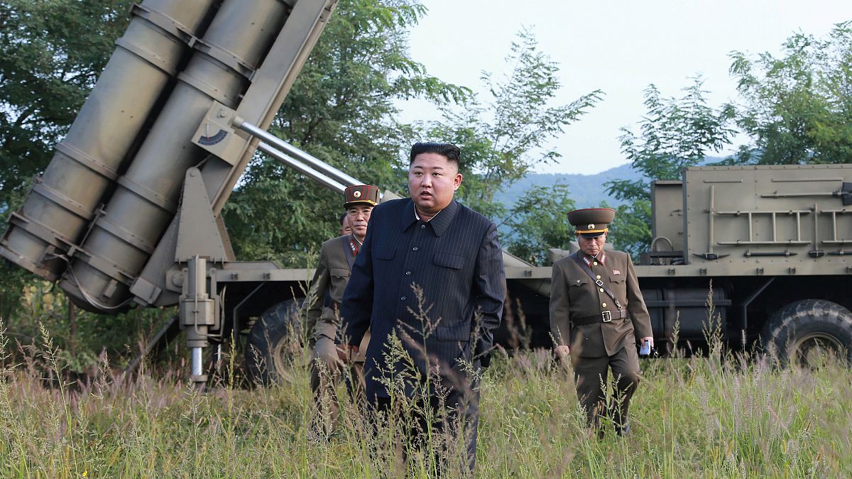کره شمالی: یک سامانه بزرگ موشک‌انداز چند راکتی را آزمایش کردیم