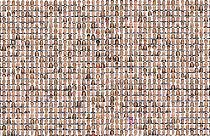 Ursula vara Commissione "diversa come l'Europa"... in cui sono tutti bianchi