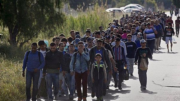 Migrációellenes amerikai rendelet Migrációellenes amerikai rendelet