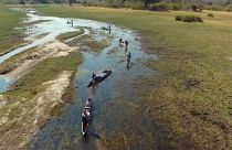 "Into the Okavango", l'agonia di una grande fiume