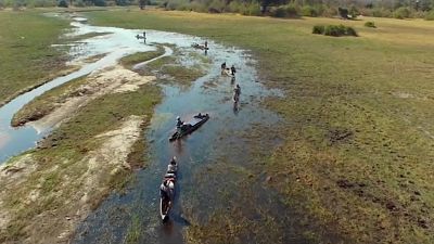 "Into the Okavango"