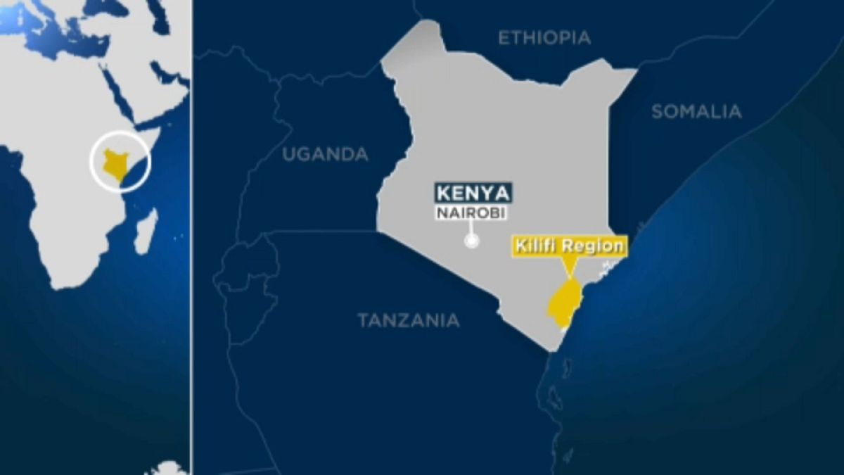 Gunmen kidnap Italian aid worker during attack in Kenya