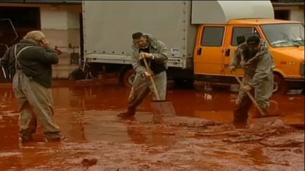 Court convicts 10 after 2010 Hungarian alumina plant toxic sludge leak Court convicts 10 after 2010 Hungarian alumina plant toxic sludge leak