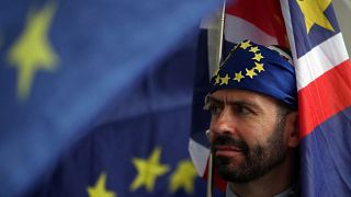 Anti-Brexit demonstrator protests outside the Houses of Parliament in London, Britain