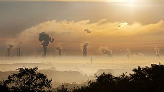 EU's air pollutant emissions decreased 'significantly' in past 28 years: report