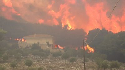Yunanistan'ın Zakintos Adası'ndaki orman yangını rüzgarla güçlendi