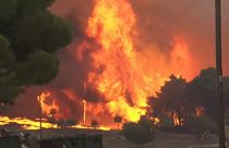 Waldbrand auf Zakynthos
