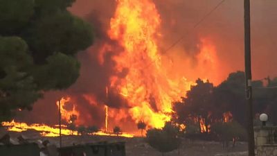 Waldbrand auf Zakynthos