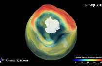 Representación del agujero de la capa de ozono el 1 de septiembre de 2019.