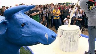 Az alacsony tejár miatt tüntettek európai tejtermelők Belgiumban