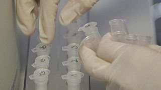 В новосибирской лаборатории с опасными вирусами произошел взрыв