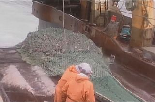 "Redes fantasma" contaminam mares