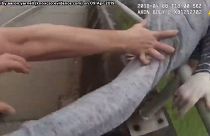 Video: Polis, köprüden atlayan kişiyi ayağından yakalayarak kurtardı