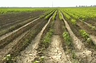 Parlamento Europeu quer neutralidade carbónica até 2050