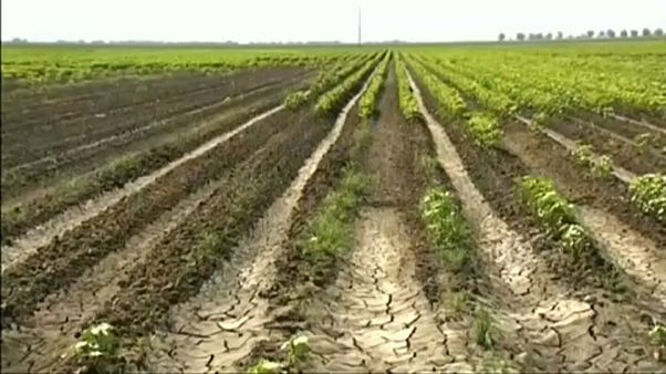 Parlamento Europeu quer neutralidade carbónica até 2050 Parlamento Europeu quer neutralidade carbónica até 2050