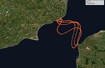 Sarah Thomas: Cancer survivor becomes first to swim English Channel four times non-stop