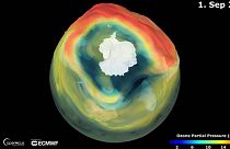 Ricordate il buco dell'ozono? Buone notizie: mai così piccolo negli ultimi 30 anni