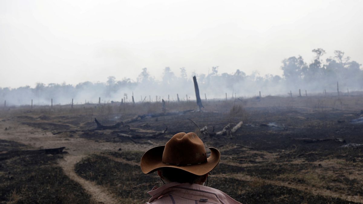 Defending the Amazon forest from deforestation 'can cost you your life' says new HRW report