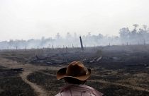 Defender el Amazonas de la deforestación te puede costar la vida en Brasil, denuncia HRW