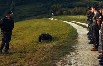 Ronde xenofobe al confine sloveno