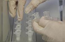 Una explosión destruye un laboratorio de virus letales en Rusia