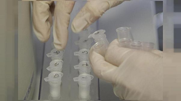 Una explosión destruye un laboratorio de virus letales en Rusia Una explosión destruye un laboratorio de virus letales en Rusia