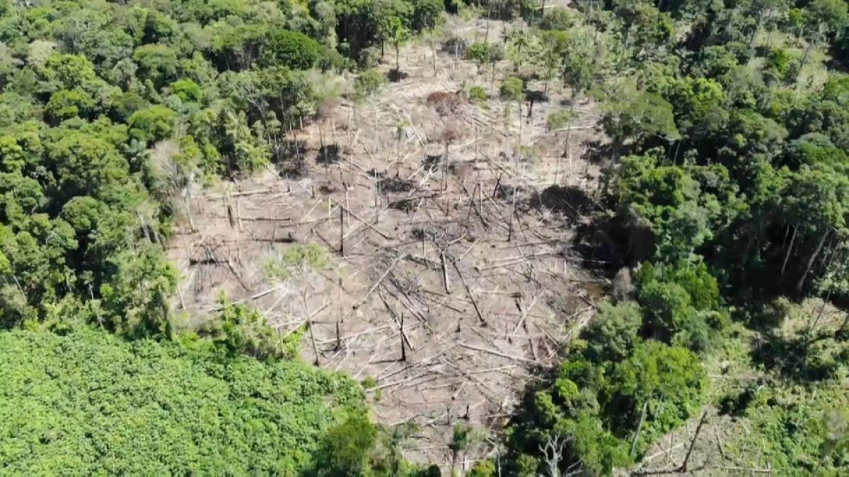 Des drones pour protéger la forêt amazonienne au Pérou