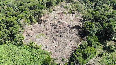 Gli indigeni usano i droni per combattere la deforestazione criminale dell'Amazzonia