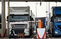 Prêt pour le Brexit ? Eurotunnel et les douanes françaises sont confiantes