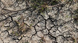 Sol asséché d'un marais salant à Grand-Village-Plage, sur l'île d'Oléron, le 31/08/2019.