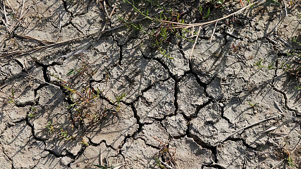 Sol asséché d'un marais salant à Grand-Village-Plage, sur l'île d'Oléron, le 31/08/2019. Sol asséché d'un marais salant à Grand-Village-Plage, sur l'île d'Oléron, le 31/08/2019.