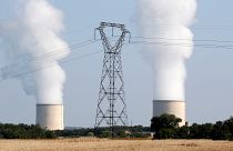Nükleer enerji iklimi korumak için hem çok yavaş hem de çok pahalı