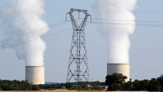 Nükleer enerji iklimi korumak için hem çok yavaş hem de çok pahalı