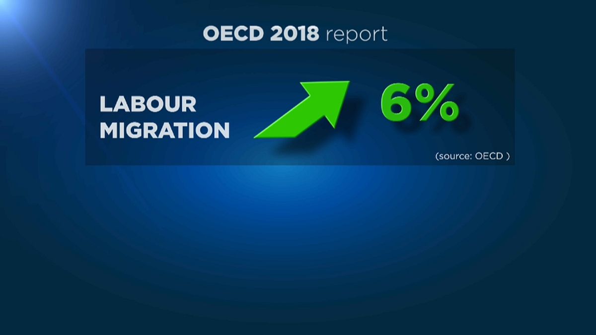 ОЭСР: миграционные потоки растут